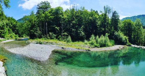 Scenic view of lake by trees against sky