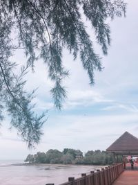 Houses by trees against sky