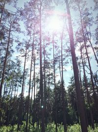 Low angle view of trees against sky