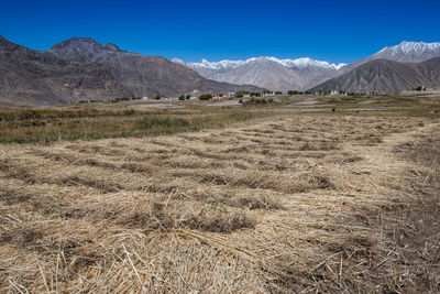 Scenic view of field against clear blue sky