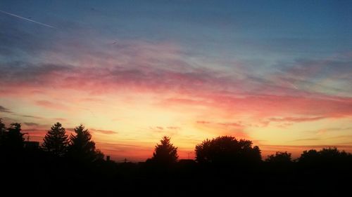 Silhouette of trees at sunset