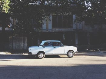 Car on road against trees in city