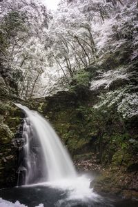 Scenic view of waterfall