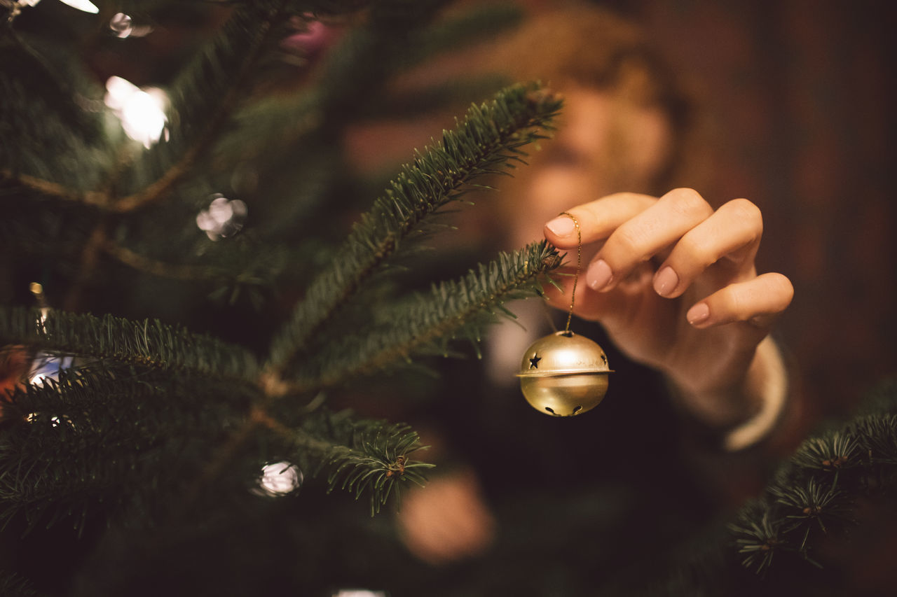 CLOSE-UP OF CHRISTMAS TREE