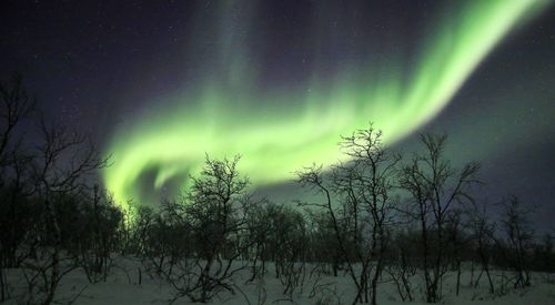 Scenic view of landscape against sky at night