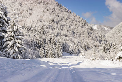 Snow covered field against sky