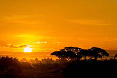 Silhouette trees on landscape against orange sky