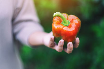 Close-up of woman holing bell pepper outdoors