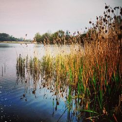 Scenic view of lake against sky