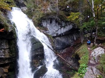 Scenic view of waterfall in forest