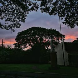 Trees against sky during sunset