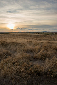 Scenic view of grassy field against sky during sunset