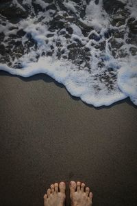 Low section of person standing on beach