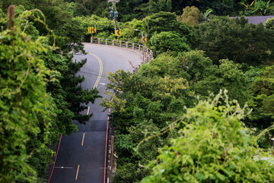 High angle view of road amidst trees