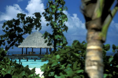 Thatched roof gazebo at beach seen through plants on sunny day