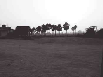 Trees on field