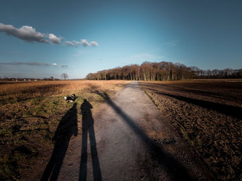 Rear view of horse on road amidst field against sky