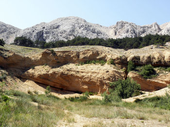 Scenic view of landscape against clear sky
