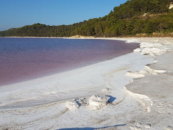 Scenic view of beach against clear blue sky