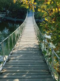 View of footbridge along plants