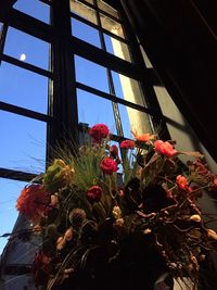 Low angle view of plants against sky