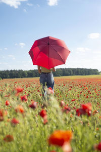 Girl with red umbrella in poppy field