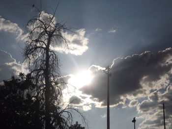 Low angle view of silhouette trees against sky during sunset