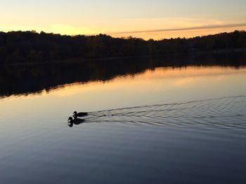 Silhouette person floating on lake against sky during sunset