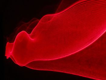 Close-up of light bulb over black background