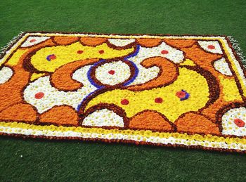 High angle view of colorful flowers decorated on field