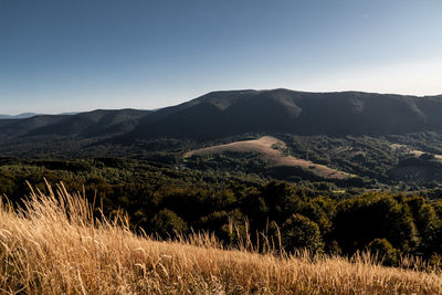 Scenic view of field against clear sky