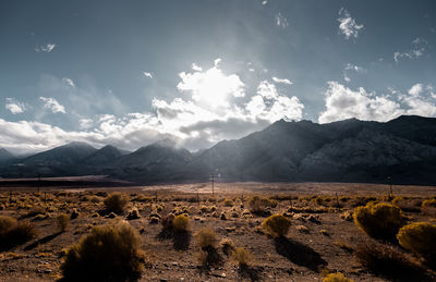 Scenic view of landscape against sky