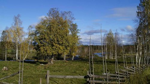 Scenic view of grassy field against cloudy sky