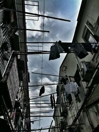 Low angle view of birds perching on cable