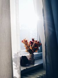 Close-up of flowers in window at home