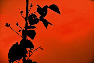 Low angle view of silhouette plant against orange sky