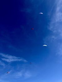 Low angle view of birds flying in blue sky