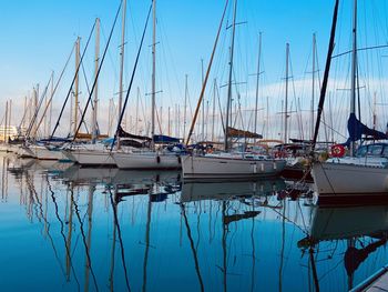 Sailboats moored in harbor