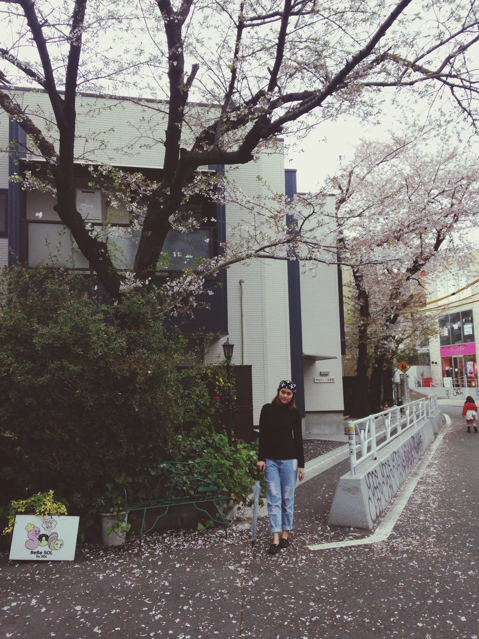 tree, walking, rear view, lifestyles, men, street, person, building exterior, city, full length, built structure, architecture, road, bare tree, leisure activity, transportation, branch, sidewalk