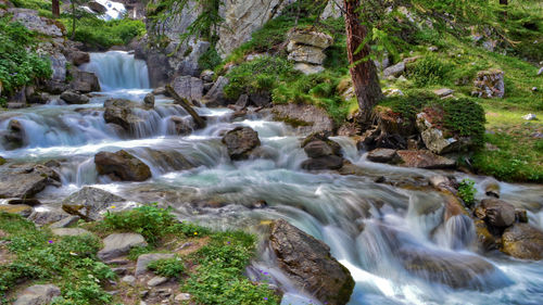 Scenic view of waterfall in forest