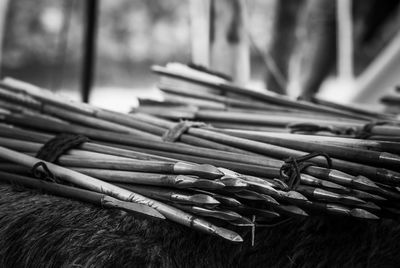 Close-up of arrows on grass