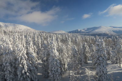 Panoramic view of snowcapped mountains against sky