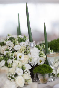 Close-up of white flowers on table