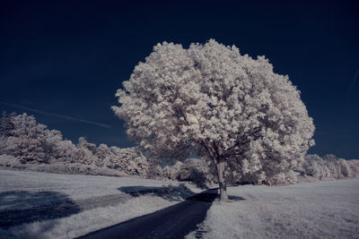 Snow covered road by trees against sky