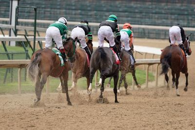 Rear view of jockeys during race