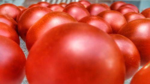 Full frame shot of tomatoes