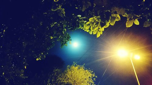 Low angle view of trees against sky at night