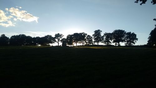 Trees on landscape against sky