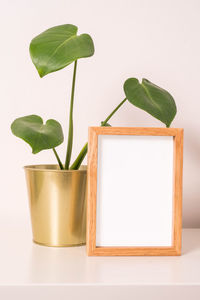 Close-up of potted plant leaves in vase