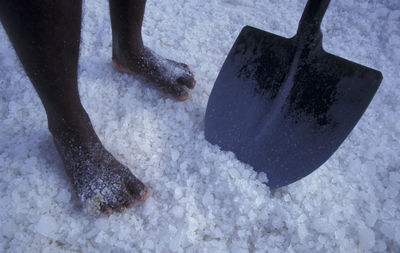 Low section of man standing on snow